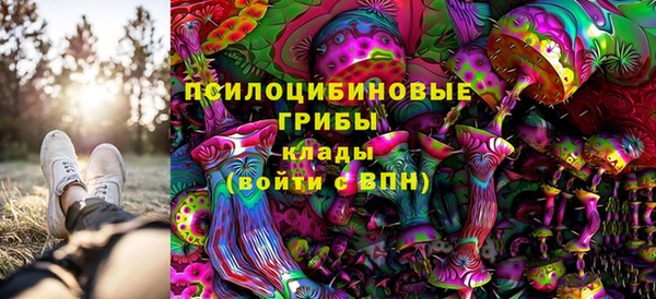 мескалин Балахна