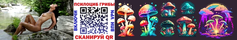 Псилоцибиновые грибы Magic Shrooms  где купить   Шали 